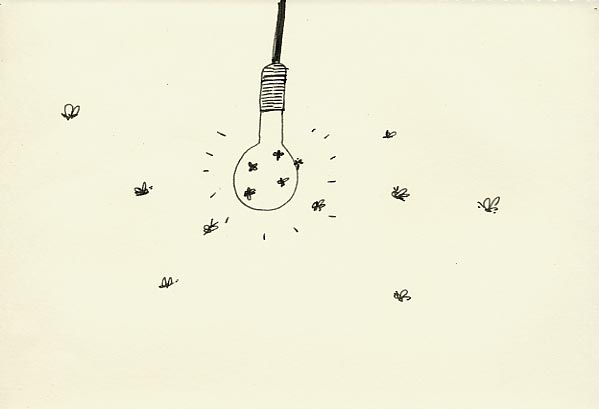 Geert Dekkers - a drawing a day at nznl.com - flies light attraction