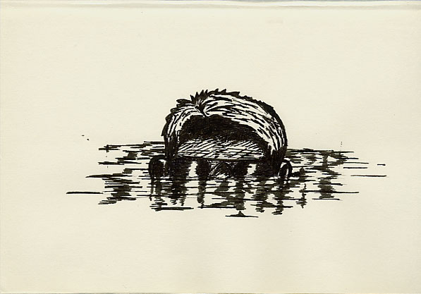 Geert Dekkers - a drawing a day at nznl.com - glasses reflection sinking spill