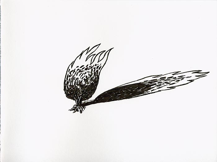 Geert Dekkers - a drawing a day at nznl.com - fire bush shadow