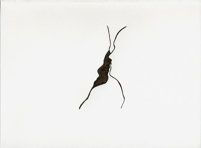 Geert Dekkers - a drawing a day at nznl.com - (untitled drawing)