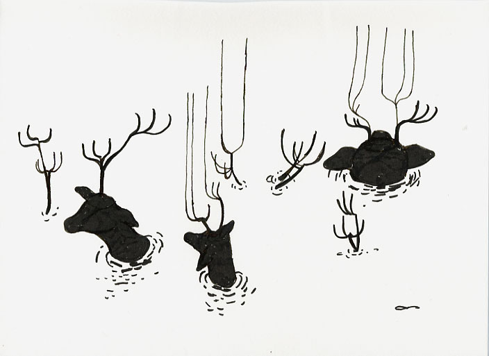 Geert Dekkers - a drawing a day at nznl.com - (untitled drawing)
