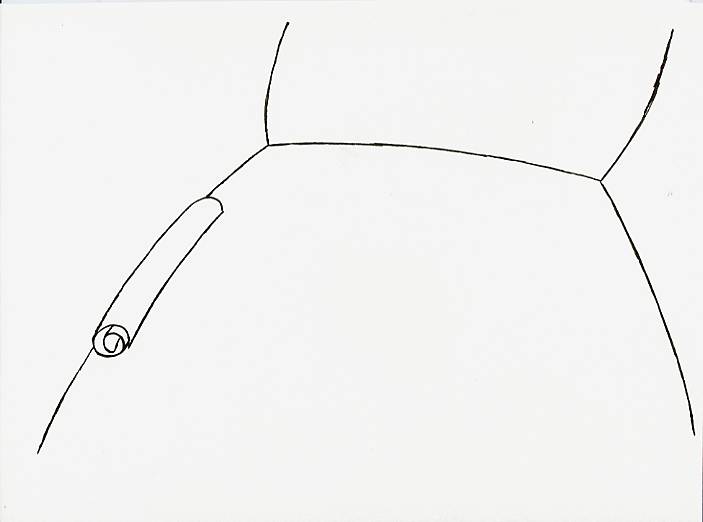 Geert Dekkers - a drawing a day at nznl.com - (untitled drawing)