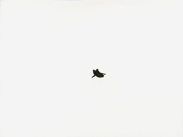 Geert Dekkers - a drawing a day at nznl.com - (untitled drawing)