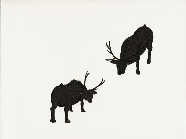 Geert Dekkers - a drawing a day at nznl.com - (untitled drawing)