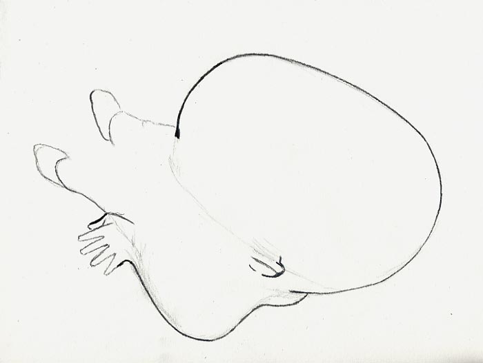 Geert Dekkers - a drawing a day at nznl.com - (untitled drawing)