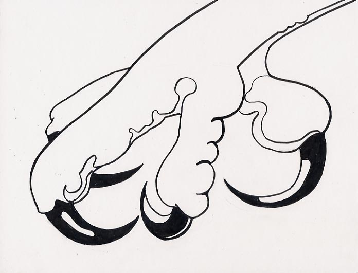Geert Dekkers - a drawing a day at nznl.com - (untitled drawing)