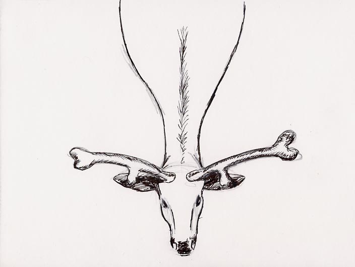 Geert Dekkers - a drawing a day at nznl.com - (untitled drawing)