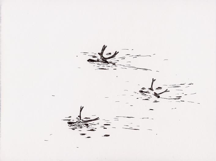 Geert Dekkers - a drawing a day at nznl.com - (untitled drawing)