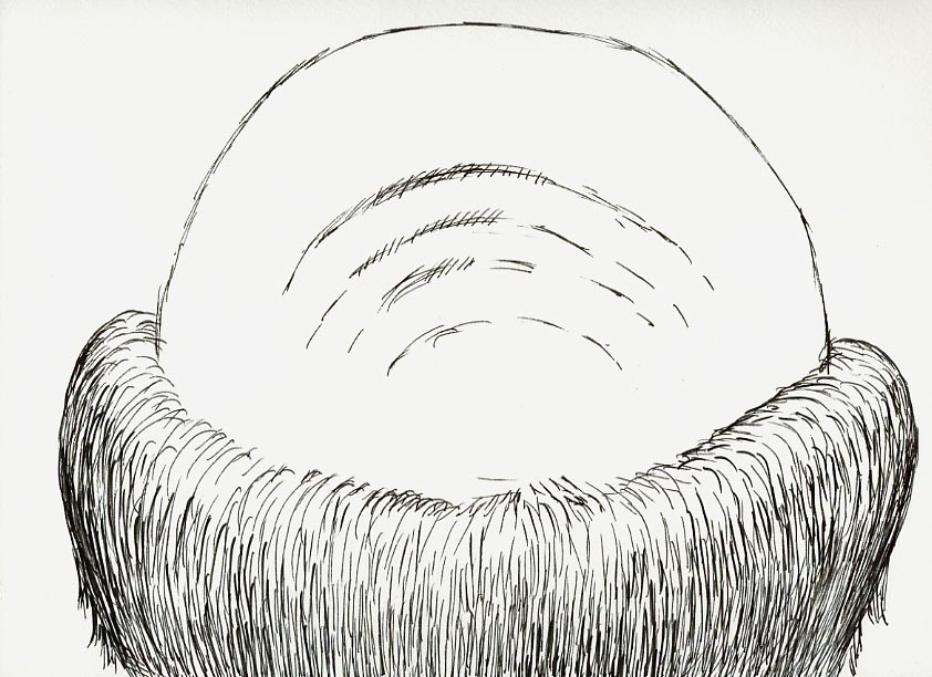 Geert Dekkers - a drawing a day at nznl.com - (untitled drawing)