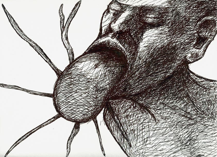 Geert Dekkers - a drawing a day at nznl.com - (untitled drawing)