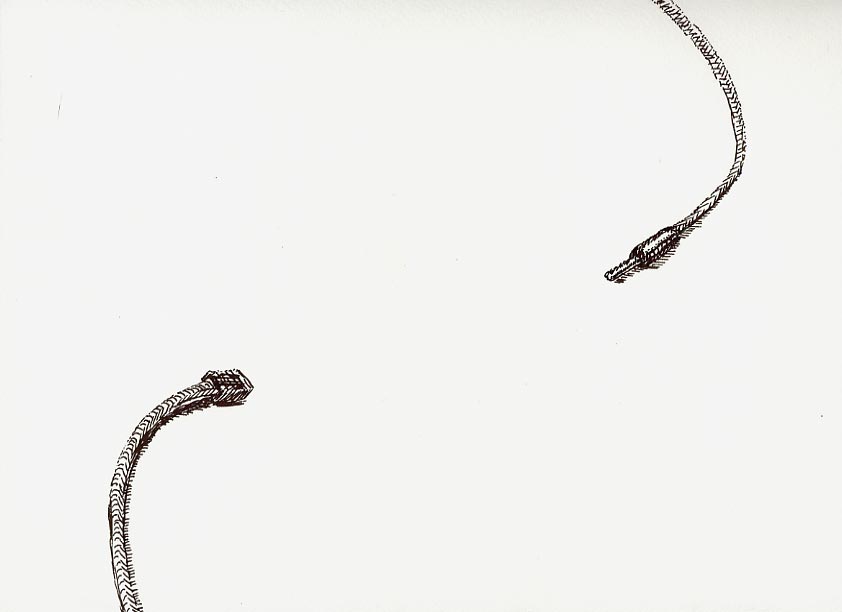 Geert Dekkers - a drawing a day at nznl.com - (untitled drawing)