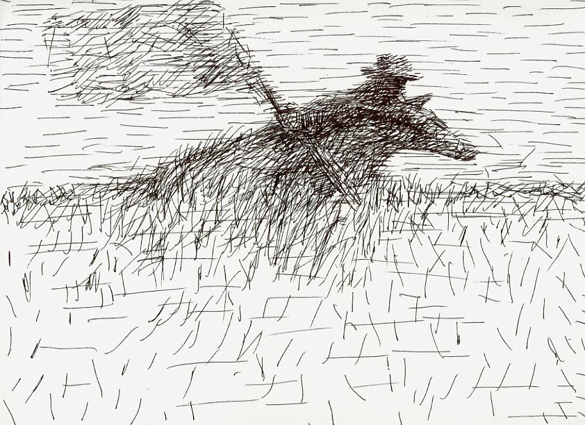Geert Dekkers - a drawing a day at nznl.com - (untitled drawing)