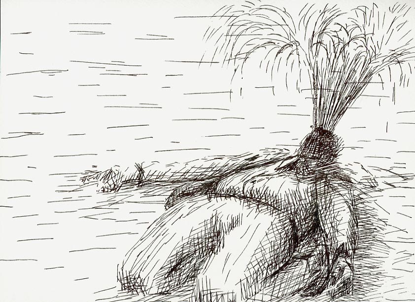 Geert Dekkers - a drawing a day at nznl.com - (untitled drawing)