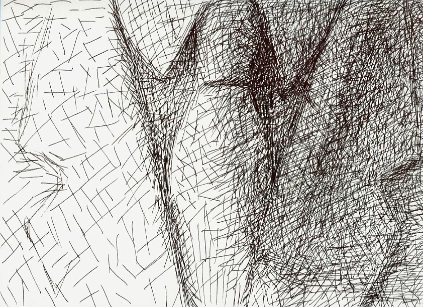 Geert Dekkers - a drawing a day at nznl.com - (untitled drawing)