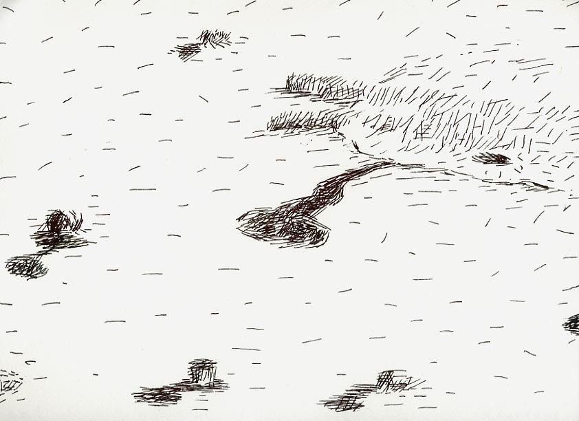 Geert Dekkers - a drawing a day at nznl.com - (untitled drawing)