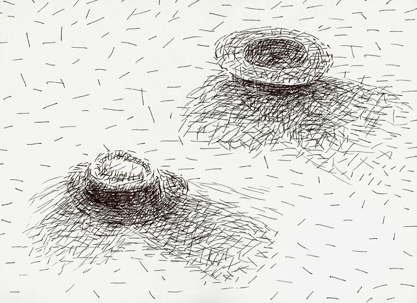 Geert Dekkers - a drawing a day at nznl.com - (untitled drawing)