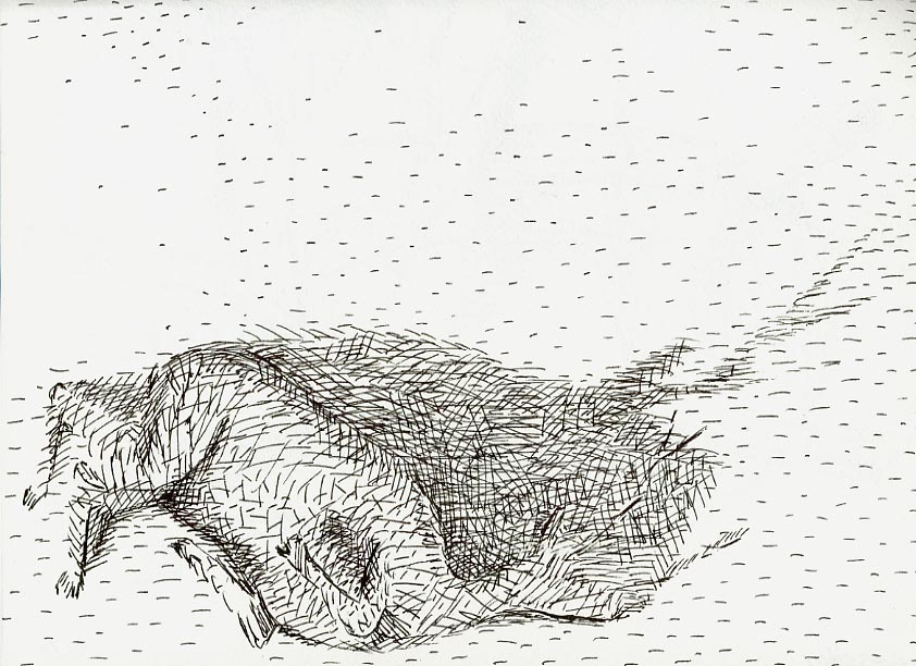 Geert Dekkers - a drawing a day at nznl.com - (untitled drawing)