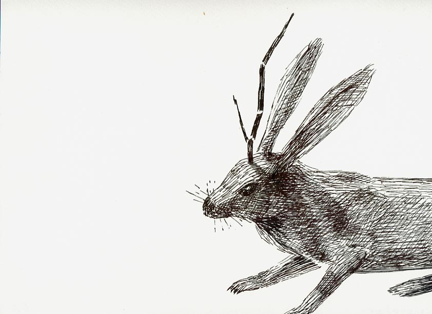Geert Dekkers - a drawing a day at nznl.com - (untitled drawing)