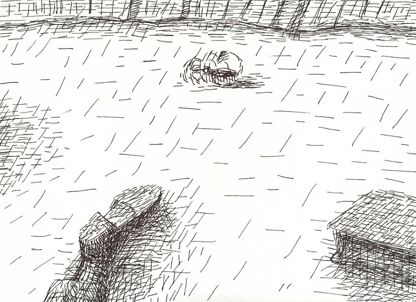 Geert Dekkers - a drawing a day at nznl.com - (untitled drawing)