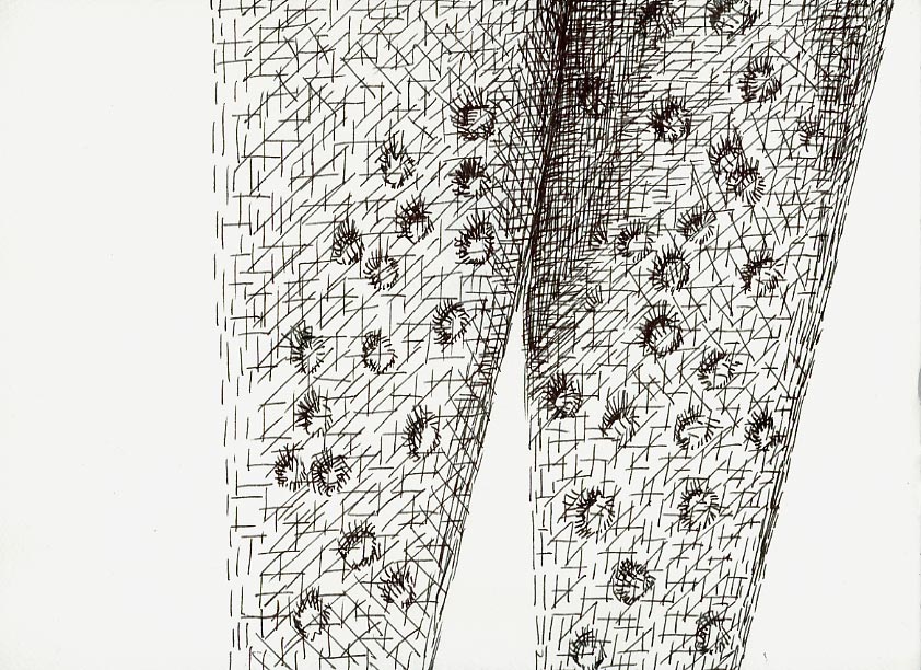 Geert Dekkers - a drawing a day at nznl.com - (untitled drawing)