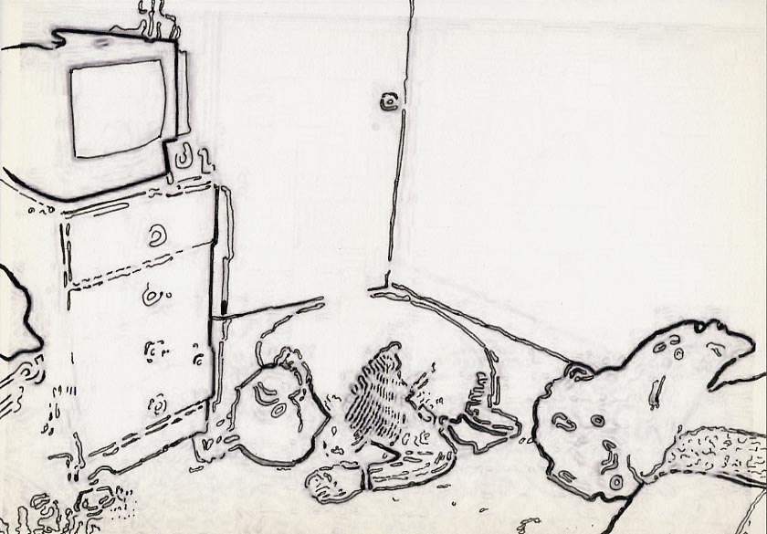 Geert Dekkers - a drawing a day at nznl.com - (untitled drawing)