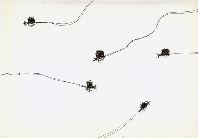 Geert Dekkers - a drawing a day at nznl.com - (untitled drawing)