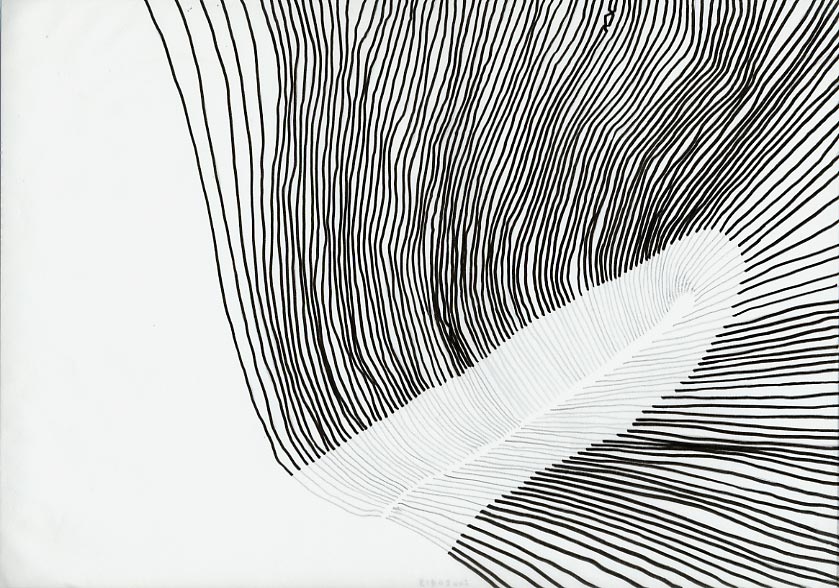 Geert Dekkers - a drawing a day at nznl.com - (untitled drawing)