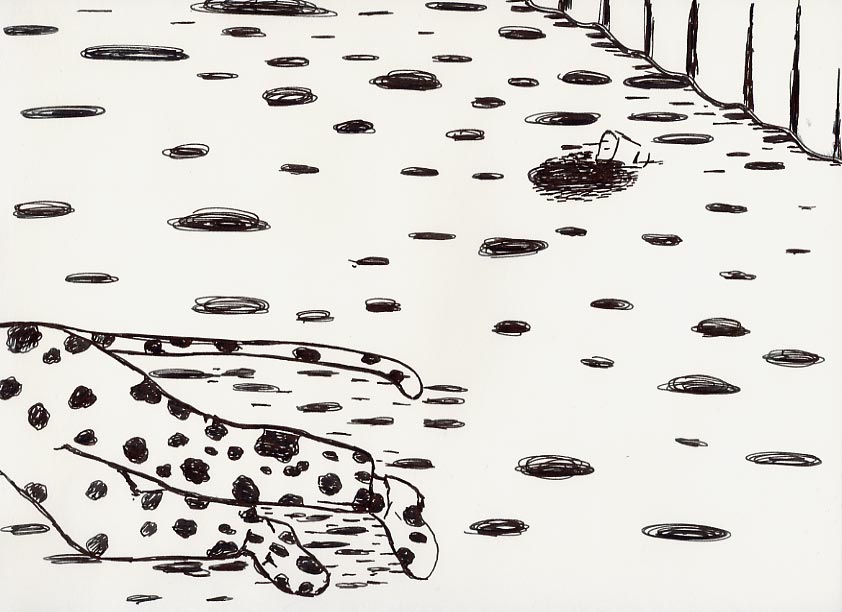 Geert Dekkers - a drawing a day at nznl.com - (untitled drawing)