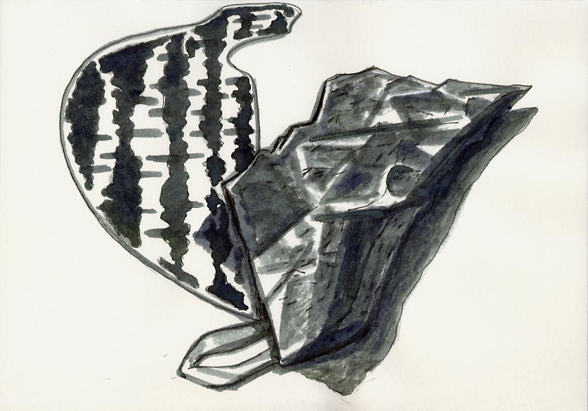 Geert Dekkers - a drawing a day at nznl.com - (untitled drawing)