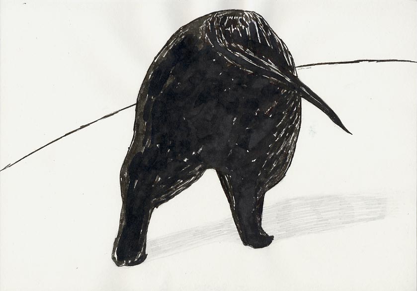 Geert Dekkers - a drawing a day at nznl.com - (untitled drawing)