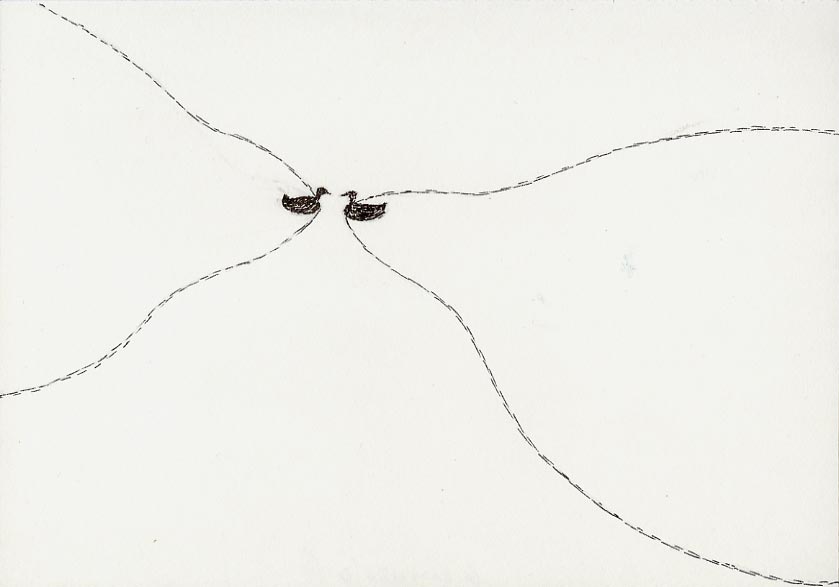 Geert Dekkers - a drawing a day at nznl.com - (untitled drawing)