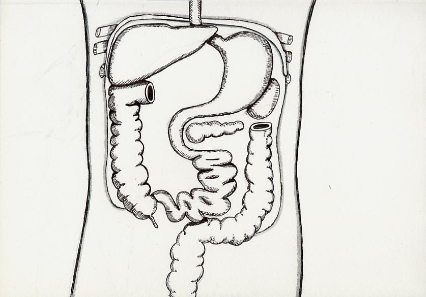 Geert Dekkers - a drawing a day at nznl.com - (untitled drawing)