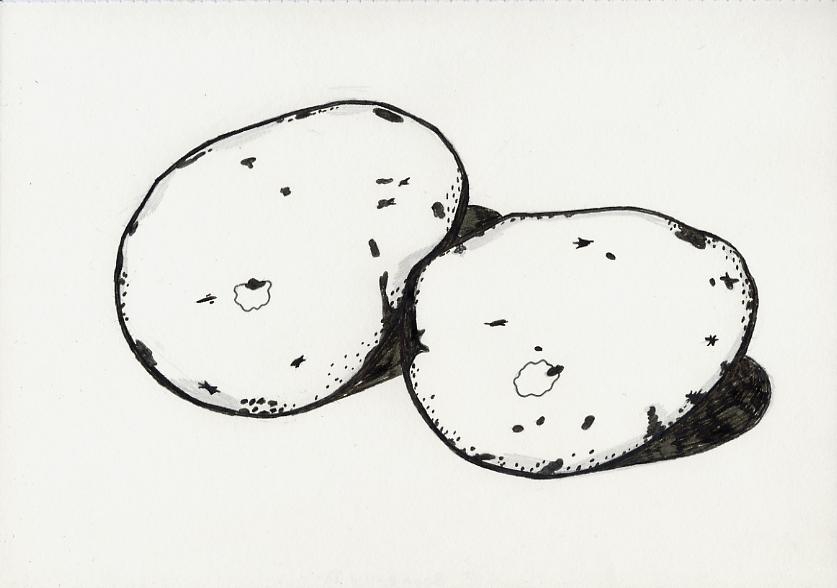 Geert Dekkers - a drawing a day at nznl.com - (untitled drawing)