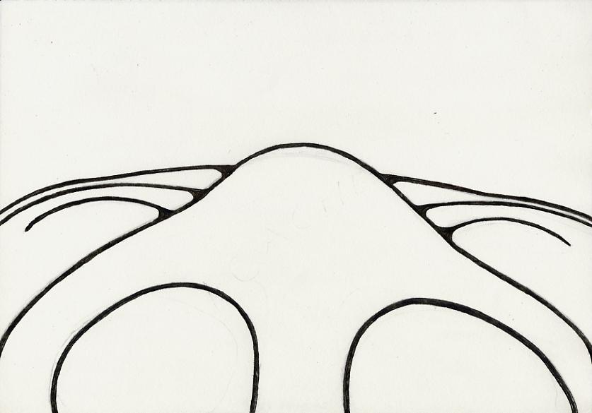 Geert Dekkers - a drawing a day at nznl.com - (untitled drawing)