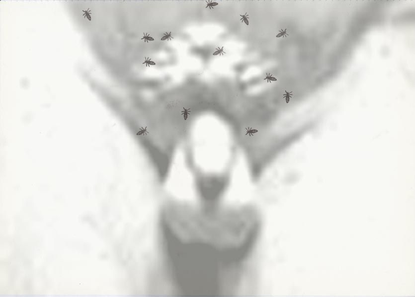 Geert Dekkers - a drawing a day at nznl.com - (untitled drawing)