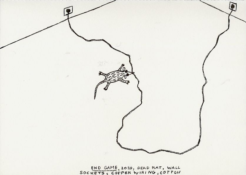 Geert Dekkers - a drawing a day at nznl.com - END GAME, 2020, DEAD RAT, WALL SOCKETS, COPPER WIRING, COTTON
