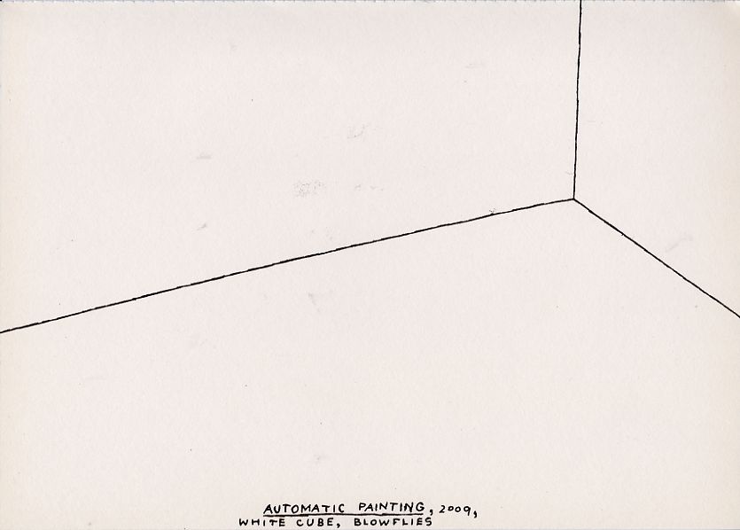 Geert Dekkers - a drawing a day at nznl.com - AUTOMATIC PAINTING, 2009, WHITE CUBE, BLOWFLIES