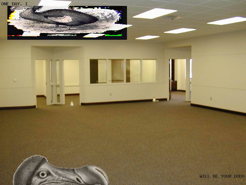 Geert Dekkers - a drawing a day at nznl.com - ONE DAY, I WILL BE YOUR DODO
