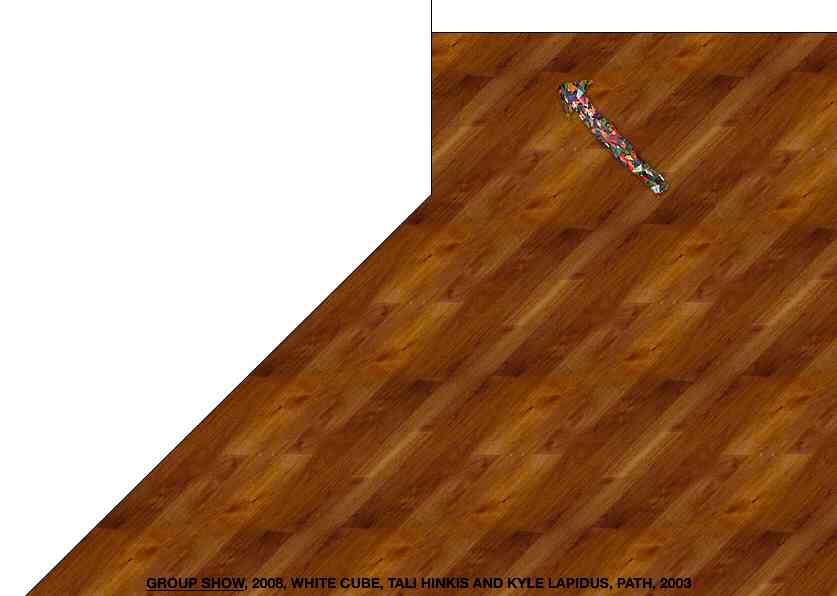 Geert Dekkers - a drawing a day at nznl.com - GROUP SHOW, 2008, WHITE CUBE, TALI HINKIS AND KYLE LAPIDUS, PATH, 2003
fireworks file