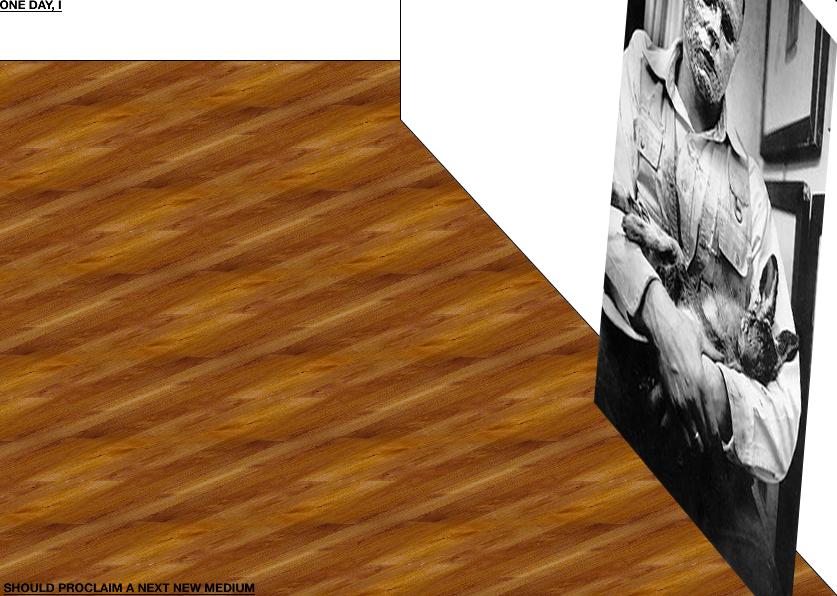 Geert Dekkers - a drawing a day at nznl.com - ONE DAY, I SHOULD PROCLAIM A NEXT NEW MEDIUM
fireworks file