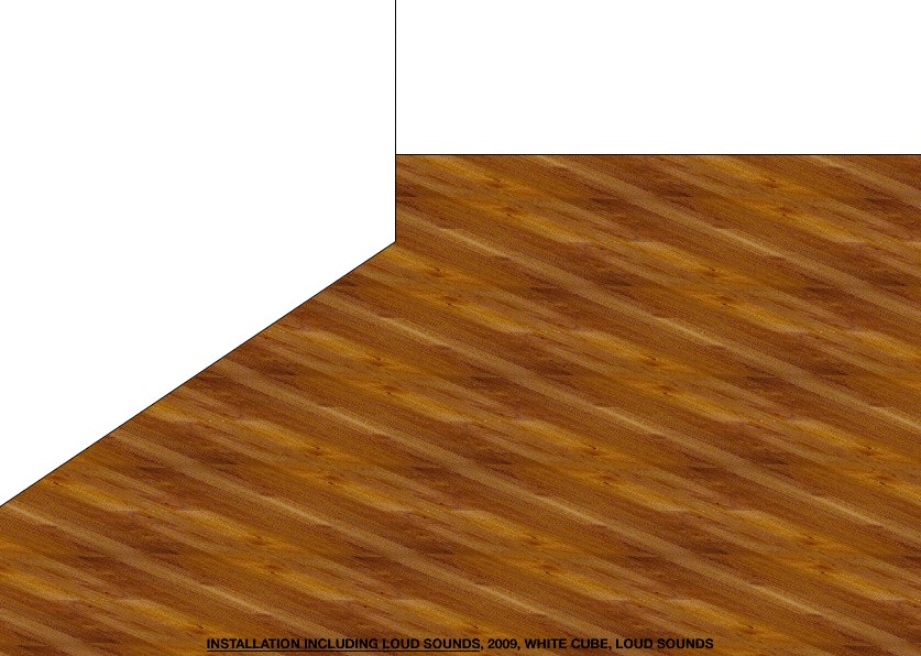 Geert Dekkers - a drawing a day at nznl.com - INSTALLATION INCLUDING LOUD SOUNDS, 2009, WHITE CUBE, LOUD SOUNDS
flash movie