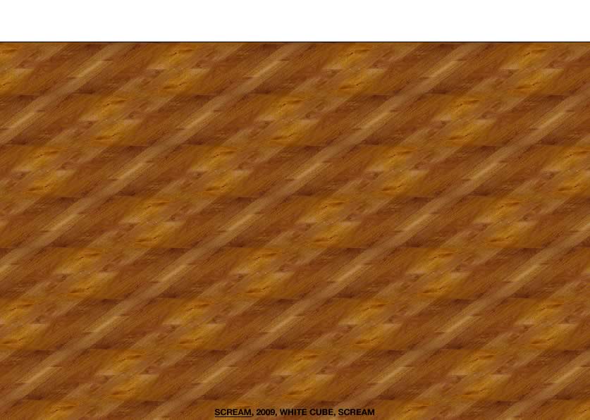 Geert Dekkers - a drawing a day at nznl.com - SCREAM, 2009, WHITE CUBE, SCREAM
flash movie