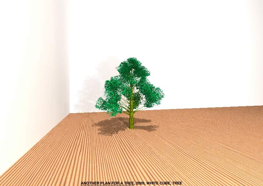 Geert Dekkers - a drawing a day at nznl.com - ANOTHER PLAN FOR A TREE, 2009, WHITE CUBE, TREE
ray-traced image