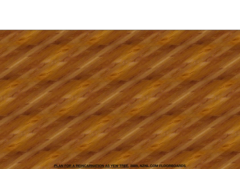 Geert Dekkers - a drawing a day at nznl.com - PLAN FOR A REINCARNATION AS YEW TREE, 2009, NZNL.COM FLOORBOARDS
fireworks file